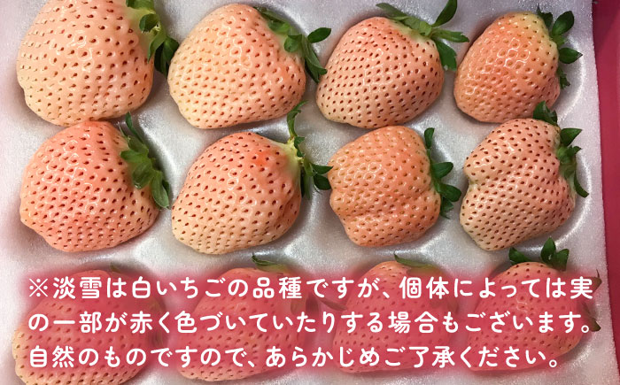 【令和7年分先行予約】【全3回定期便】淡いピンクの白いちご「淡雪」 計1.32kg （220g×2パック×3回） / いちご イチゴ 苺 果物 フルーツ / 佐賀県 / 岸川農園 [41ASAG005