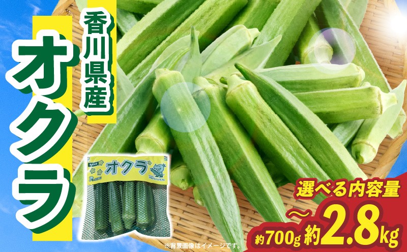 
                  【選べる内容量】オクラ 約700g～2.8kg |オクラ 野菜 ネバネバ 旬の野菜 旬 季節の野菜 季節 贈答 贈り物 ギフト プレゼント おすそ分け グルメ お取り寄せ 人気 おすすめ 特産 特産品 生鮮食品 香川県 三木町 |_mk006-125
                