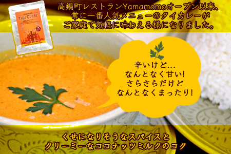 ＜オリジナル　高鍋生まれのタイカレー20個＞