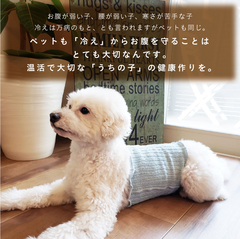＜ベージュ＋サックス＞日本製 pancia シルク 腹巻 犬用 (Mサイズ・2枚) 【tm-BF046-C】【一般社団法人田原本まちづくり観光振興機構】