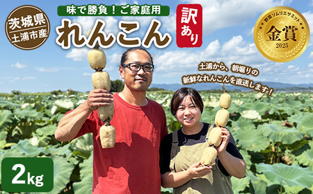 【訳あり】土浦市産 れんこん 2㎏　味で勝負！タップリ大満足！ すずき蓮根農園のご家庭用れんこん「竹 2キロ」 ｜ 産地直送 茨城県 レンコン 蓮根 野菜 シャキシャキ ※2026年8月～発送