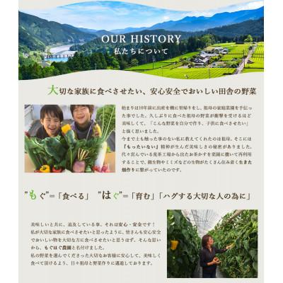 ふるさと納税 牧之原市 【12品】畑から採りたて発送!静岡厳選野菜セット |  | 03