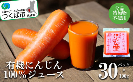 ベルファームつくばのにんじんジュース 100% 100g×30袋 にんじんジュース にんじんジュース にんじんジュース にんじんジュース