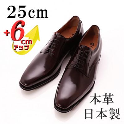 ふるさと納税 大和郡山市 牛革外羽根プレーン 6cmアップ メンズシークレットシューズ 紐 No.1931 ワイン 25cm