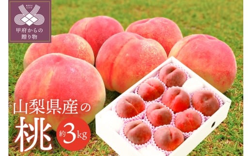 〈2026年度配送分〉山梨県産 桃 約3kg（8～12玉） 桃 山梨 もも ピーチ 3kg フルーツ 甘味 ジューシー 山梨県産 フルーツ王国 生産量日本一