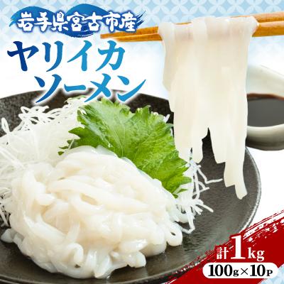 ふるさと納税 宮古市 ヤリイカソーメン宮古産100g×10パック(1kg)