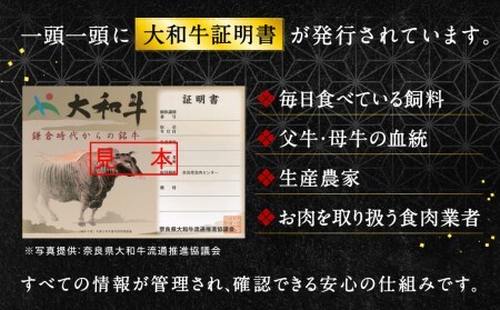 上質和牛 ブランド豚 大和牛肩ロース切落し・ヤマトポークロース切落しセット 牛肉 黒毛和牛 国産牛肉 ブランド豚肉 特選和牛 豚肉 すき焼き肉 ロース 肉 牛肉 肉料理 牛肉 肉 国産豚肉 肉 牛肉 