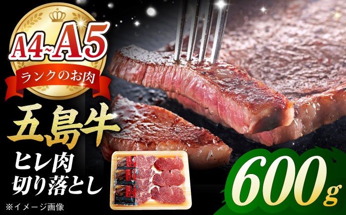 
            【毎月数量限定】五島牛 ヒレ 切り落とし 600g / 牛肉 フィレ ヘレ A4 A5 五島市 / 肉のマルヒサ [PCV040]
          