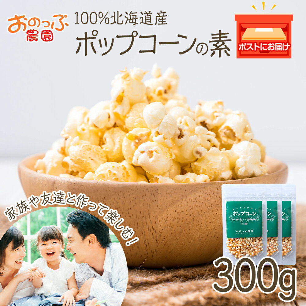 【ふるさと納税】おうちで作れる ポップコーン100g×3パック 《おのっぷ農園》 ふるさと納税 北海道
