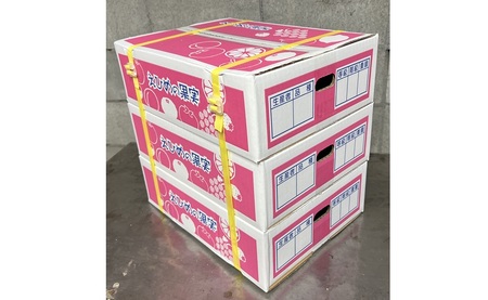 愛果28号 約3.3kg×3箱 ご家庭用 みかん 紅まどんなと同品種 柑橘 愛媛 【2026年11月下旬から順次発送予定】 先行予約 数量限定 人気 伊予市｜D61