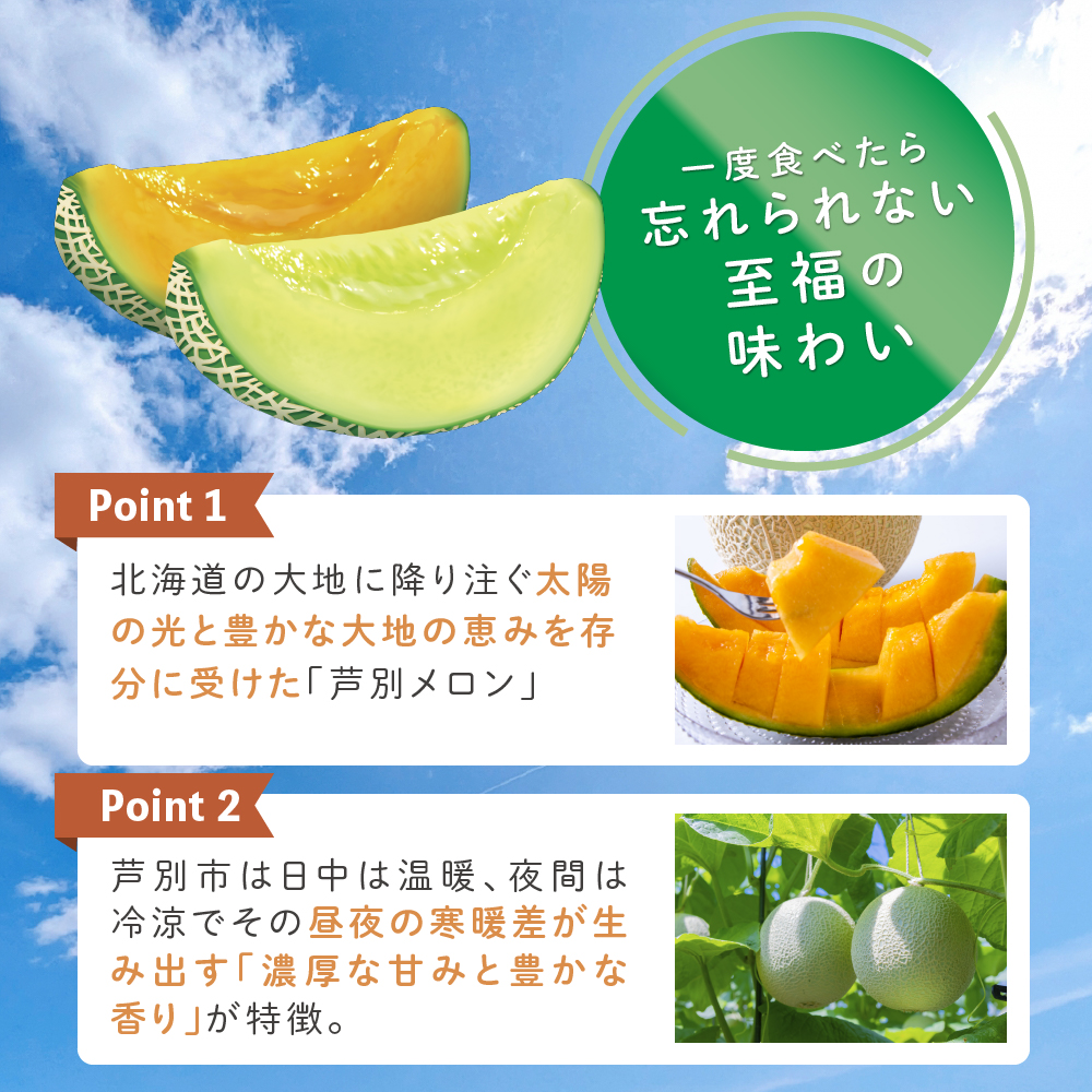 ≪赤＆青メロン 2玉セット≫ 芦別 メロン 計2.8kg以上 (赤肉・青肉セット）北海道 芦別市 メロン 果物 ギフト フルーツ 甘い