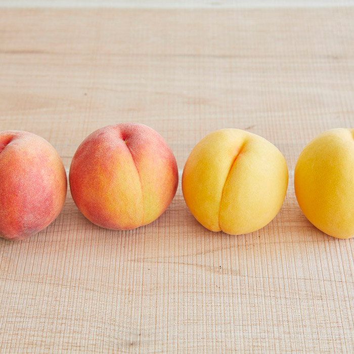 【定期便5回】ちょっとずつ美味しい果物食べ比べ定期便 【令和8年産先行予約】FS25-647