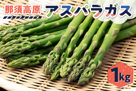 那須高原アスパラガス 野菜 ｱｽﾊﾟﾗｶﾞｽ 新鮮 ｱｽﾊﾟﾗ 朝どれ 旬 とれたて お取り寄せ 産地直送 春 青果 ns092-001