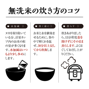 SA2850　令和7年産【無洗米】庄内産 はえぬき　5kg(5kg×1袋) SA