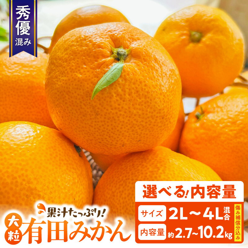 【ふるさと納税】【2026年先行予約】 【限定】 大粒 有田みかん 2L 3L 4L 秀優混合 選べる 内容量 約 2.7kg 〜 10.2kg 品種 おまかせ みかん 果物 フルーツ 柑橘 果汁 甘み 酸味 深い味わい デザート お取り寄せフルーツ お取り寄せ 和歌山県 湯浅町 送料無料