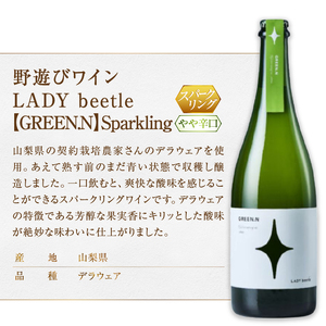 フジクレール 野遊びワイン LADY beetle【GREEN.N Sparkling】【ORANGE.N】2本セット（MG）C5-679【ワイン フジクレール スパークリングワイン オレンジワイン 