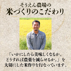 令和7年産 新潟県産 コシヒカリ 10kg 5kg×2袋 そうえん米 特別栽培米 お米 米 kome 白米 ご飯 こめ ごはん ライス ふるさと納税米 コシヒカリ お弁当 玄米 そうえん米 数量限定 