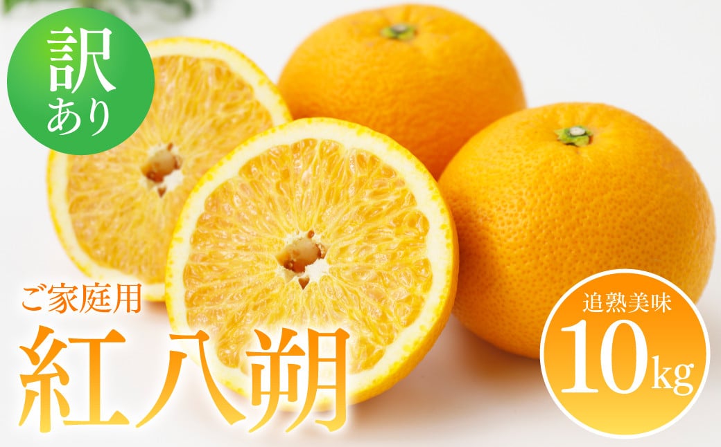 
                  【先行予約】 【訳あり】 紅八朔 ご家庭用 約10kg 紅八朔 べにはっさく 柑橘 かんきつ 八朔 はっさく 果物 くだもの フルーツ 熊本県 八代市 【2027年2月上旬より順次発送】
                