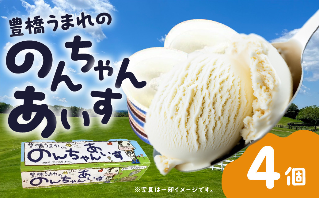 
                  豊橋うまれののんちゃんあいす 計12個（3個×4パック）アイスクリーム 豊橋市
                