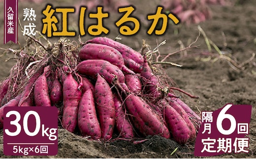 
										
										【福岡県久留米市産】熟成さつまいも（紅はるか）5kg ＜定期便－2ヶ月毎に6回お届け＞
									