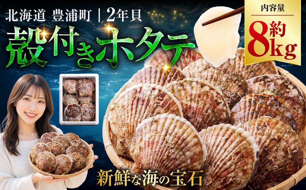 
                  【先行予約】北海道 豊浦町 殻付きホタテ貝  2年貝  約8kg ほたて 帆立 シーフード 海鮮 BBQ 【2027年1月下旬～3月下旬発送予定】
                