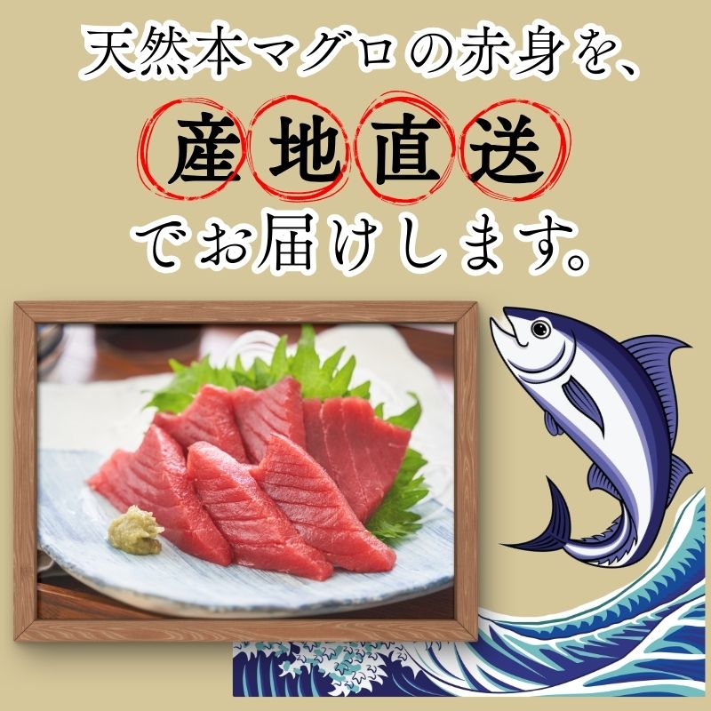 本マグロ 赤身 1柵 国産 本鮪