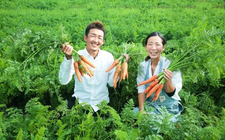 訳あり 規格外 にんじん 約5kg 有機JAS認証取得 栽培期間中農薬 除草剤 化学肥料不使用