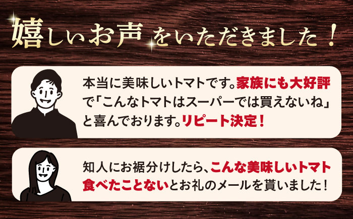 トマト 高糖度 【 訳あり 】 糖度8度以上！ 大島 トマト 約1.8kg  西海市産 トマト とまと 野菜 新鮮 旬  ＜大島造船所 農産グループ＞ [CCK007]