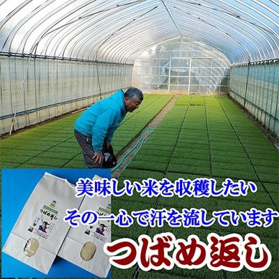 ふるさと納税 燕市 【7年産新米先行予約】おかずのいらないコシヒカリ「つばめ返し」10kg(5kg×2袋) |  | 02