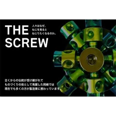 ふるさと納税 岡崎市 THE SCREW(チタン25個セット)グリーン系 |  | 01