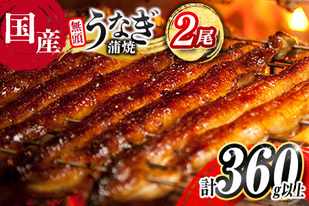 ＜2025年12月お届け＞高評価!! うなぎ 鰻楽 国産 蒲焼 2尾 人気 無頭 計360g以上 おすすめ 冷凍 簡単調理 個包装 鰻 魚介 贈答品 ギフト 贈り物【B555-2512】
