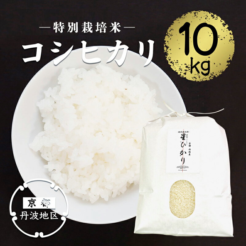 【ふるさと納税】【令和7年産 新米】R7 コシヒカリ精米10kg 10キロ お米 米 新米 精米 白米 丹波産 特別栽培米 星ひかり れんげ米 生産者直送 農家 農家直送 丹波こしひかり ごはん ご飯 甘味 旨味 安心安全 米作り 国産 京都 綾部 星原ファーム