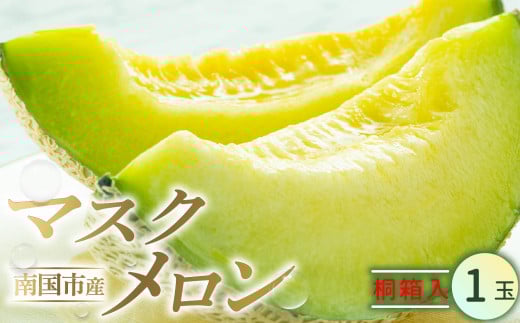 厳選桐箱入り 南国市 メロン 1玉 | マスクメロン めろん 1個 フルーツ 果物 厳選 高級 人気 デザート ギフト プレゼント 贈り物 くだもの 旬 お取り寄せ メロン 甘い 青肉 メロン 高糖度 メロン 先行予約 西島園芸団地 高知県 南国市
