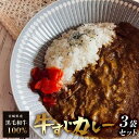 【ふるさと納税】黒毛和牛牛すじカレー