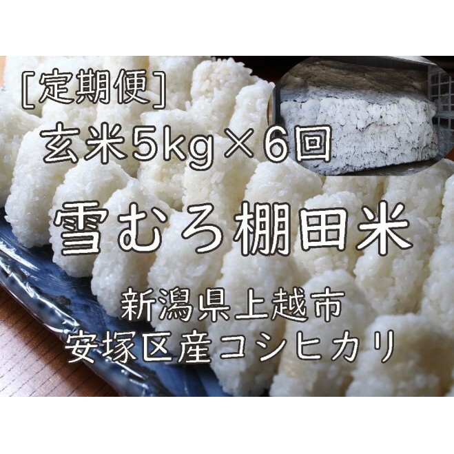 定期便 6ヶ月 雪むろ 棚田米 コシヒカリ 5kg 玄米 [定期便]毎月発送(計6回) こしひかり 米 お米 こめ おすすめ ユキノハコ 新潟 新潟県産 にいがた 上越 上越産