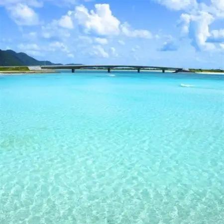 使い方色々の天然にがり大サイズ「海の幸」10リットル【1517036】