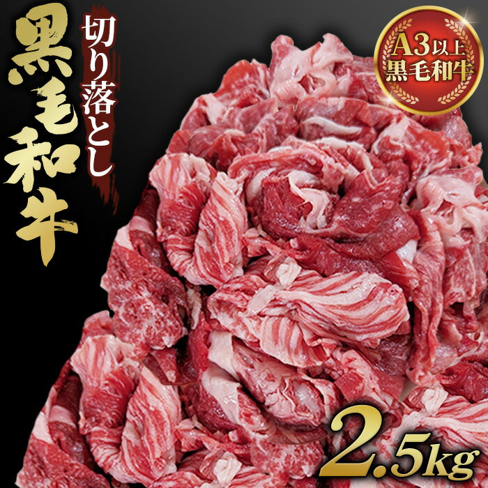 【ふるさと納税】黒毛和牛切り落とし250g×10パック 合計2.5kg ／ 牛肉 和牛 黒毛和牛 大容量 冷凍 小分け 夕食 晩ご飯 すき焼き 時短 簡単 調理 お弁当 BBQ キャンプ飯 ギフト 贅沢 専門店の味 ボリューム満点 旨み No.451