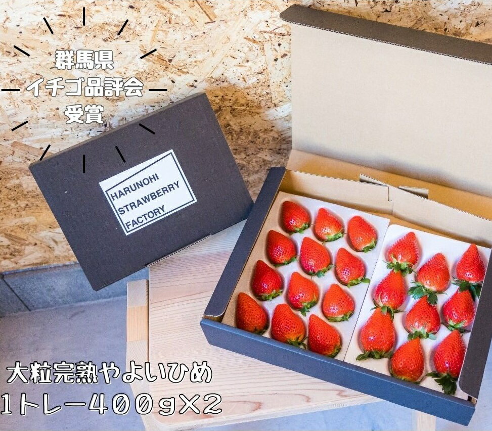 【ふるさと納税】 ＜2026年 先行予約＞大粒完熟　群馬県産いちご「やよいひめ」400g×2 約800g｜朝採れ やみつき やよいひめ 高品質 たっぷり 贈答用 新鮮 完熟 いちご 旬 苺 ストロベリー 高級 産地直送 果汁 甘い 人気 高評価 高糖度 プレゼント 群馬県 前橋市