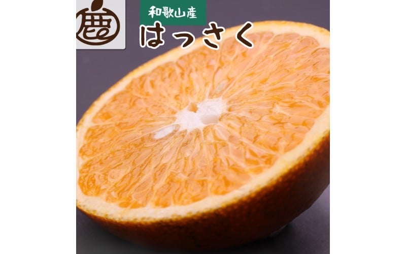 
            ＜先行予約＞厳選はっさく1kg+250g（傷み補償分）【八朔みかん】＜1月より発送＞※北海道・沖縄・離島への配送不可【ikd220】
          