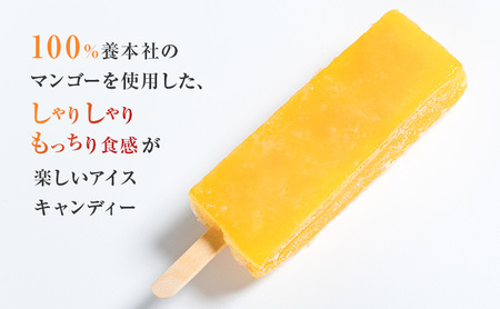 養本社のマンゴーくずアイス　10本入り ｜デザート スイーツ 贈り物 ギフト プレゼント
