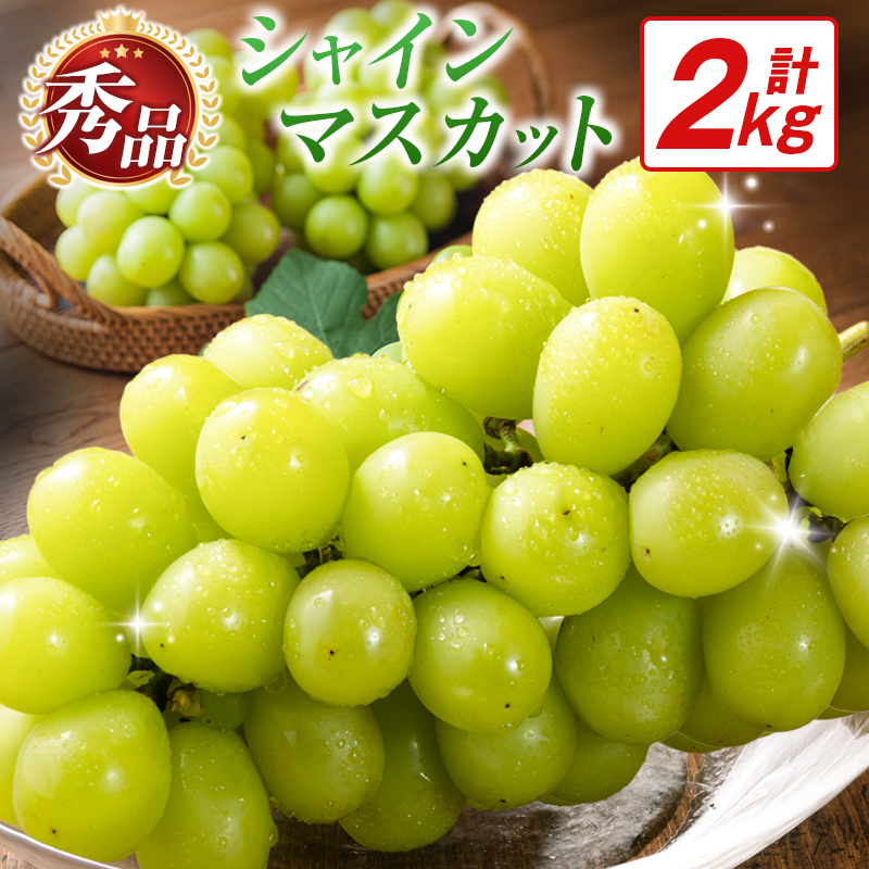 【令和9年発送 先行予約】小林市産 シャインマスカット 2kg（ブドウ ぶどう シャインマスカット マスカット フルーツ 果物 先行受付 限定）