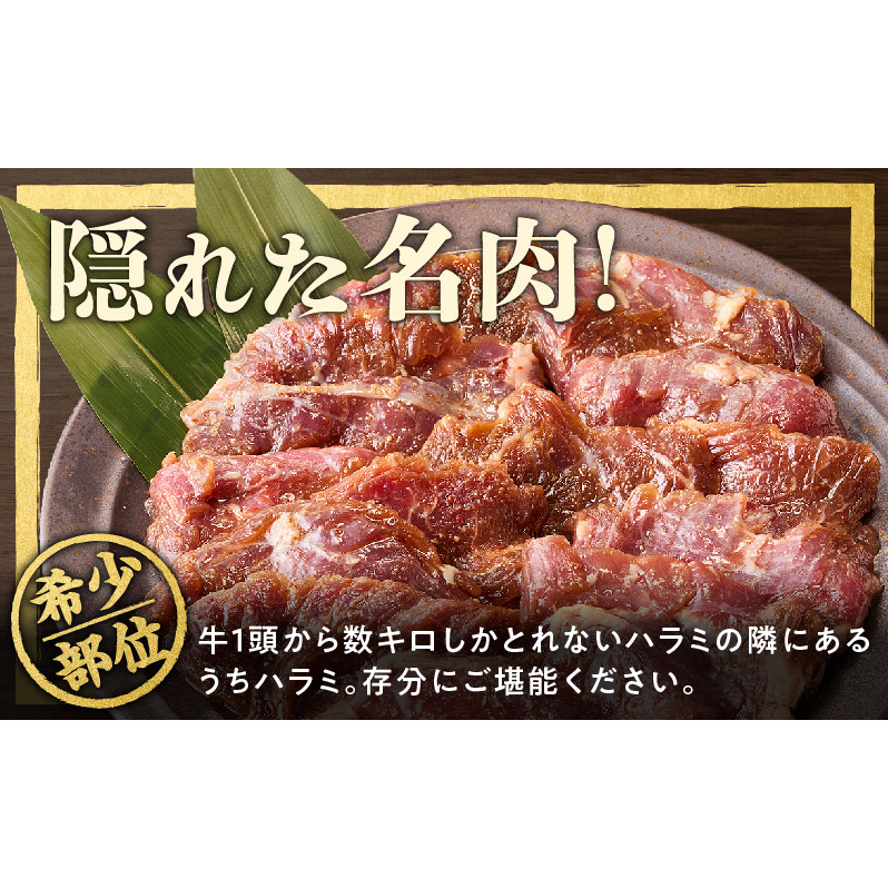 【氷温熟成×特製ダレ】希少部位 牛肉 うちハラミ 800g（400g×2） mrz0398_イメージ3