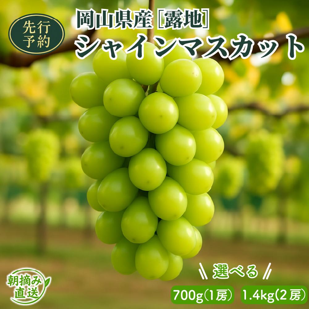 【ふるさと納税】【2025年先行予約】［露地］岡山県産シャインマスカット 700g/1.4kg
