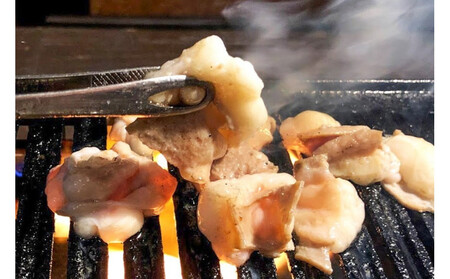 近江牛 ひとくちカット 小腸500ｇ【 近江牛 ハラルビーフ ホルモン 】