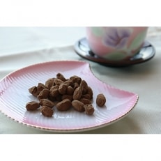 九州産大豆使用　大豆なのにチョコの味。チョコだけど、チョコと乳不使用。帯SOYちょこ　35g×10袋