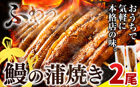 国産 鰻 鰻の蒲焼き うなぎ ウナギ うなぎの蒲焼き 2尾 《30日以内に出荷予定(土日祝除く)》｜ うなぎの蒲焼き鰻の蒲焼き鰻うなぎうなぎの蒲焼き鰻の蒲焼き鰻うなぎうなぎの蒲焼き鰻の蒲焼き鰻うなぎうなぎの蒲焼き鰻の蒲焼き鰻うなぎうなぎの蒲焼き鰻の蒲焼き鰻うなぎうなぎの蒲焼き鰻の蒲焼き鰻うなぎうなぎの蒲焼き鰻の蒲焼き鰻うなぎうなぎの蒲焼き鰻の蒲焼き鰻うなぎうなぎの蒲焼き鰻の蒲焼き鰻うなぎうなぎの蒲焼き鰻の蒲焼き鰻うなぎうなぎの蒲焼き鰻の蒲焼き鰻うなぎうなぎの蒲焼き鰻の蒲焼き鰻うなぎうなぎの蒲焼き鰻の蒲焼き鰻