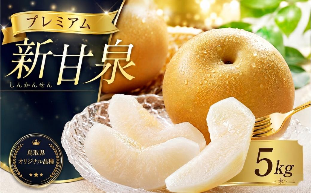 
                  【数量限定】プレミアム新甘泉 5kg 5玉～16玉前後 高間商店 8月中旬から順次発送 【もぎたて 旬 フルーツ 果物 オリジナルブランド 新品種 赤梨 梨 秋 シャキシャキ 新甘泉】＜Y026＞
                