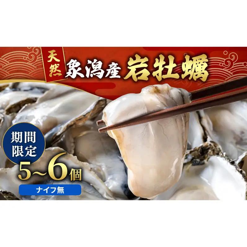 【先行予約】天然岩牡蠣 5～6個 生食可 象潟産 ナイフ無