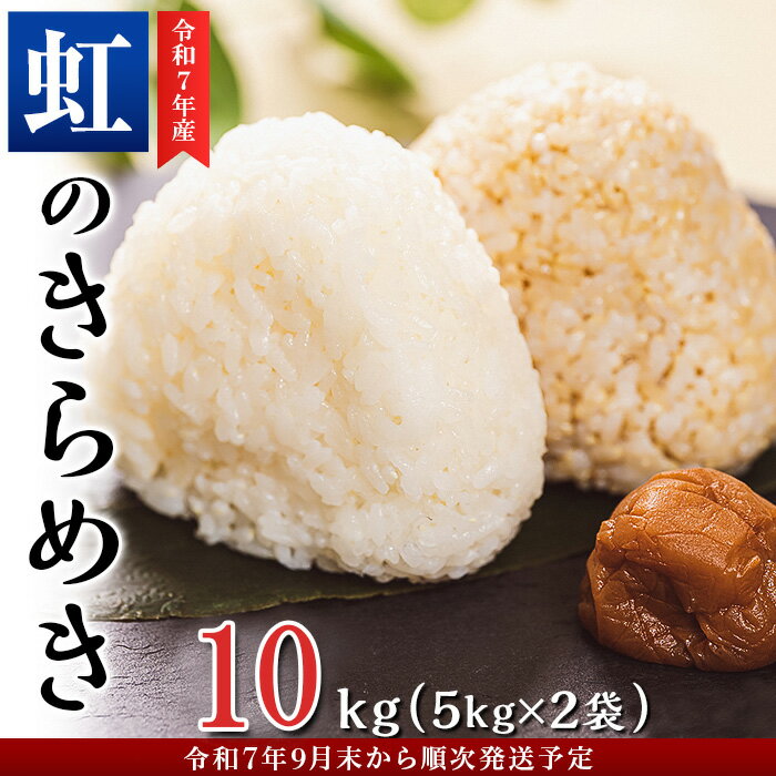 【ふるさと納税】令和7年産 にじのきらめき 10kg ( 5kg × 2袋 )【茨城県下妻市産】【米 お米 白米 にじのきらめき 10kg ご飯 こめ 甘い お米 真空パック 茨城県産 令和7年産】