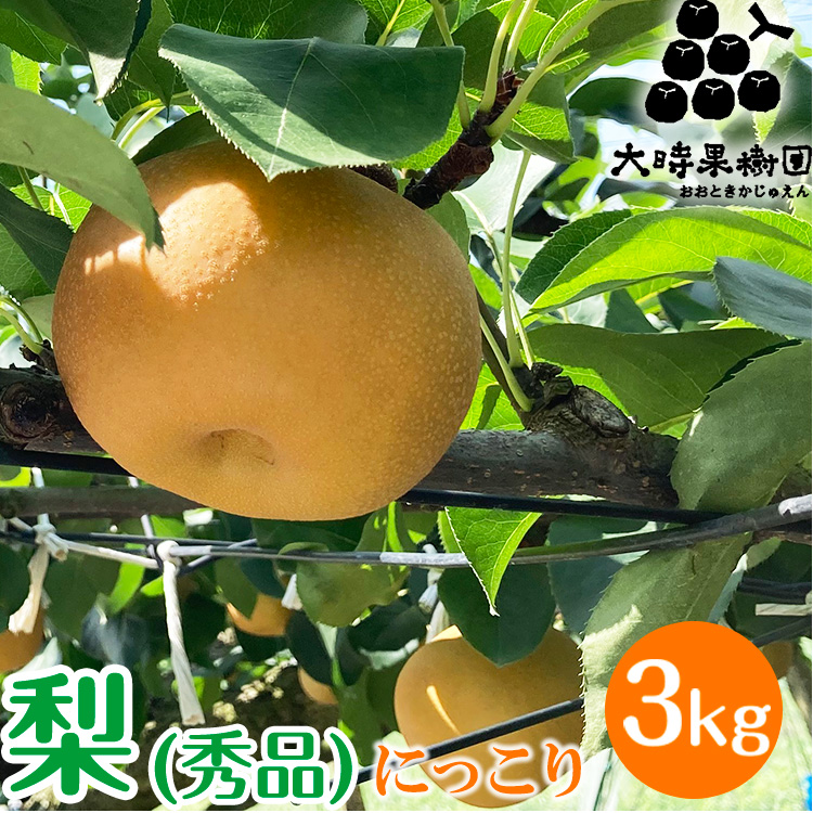 【先行予約】梨 にっこり 3kg箱（秀品） ※2026年10月～発送